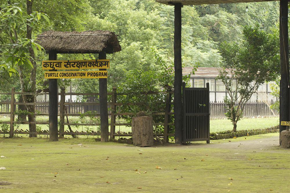 Maruni Sanctuary Lodge By Kgh Group Sauraha Exterior foto